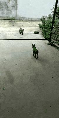 大街上看到的一幕万万想不到,大街上的一幕视频