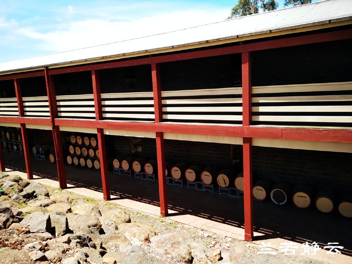 澳洲·墨尔本：到酒庄免费品酒，付5澳元到樱桃园吃到撑