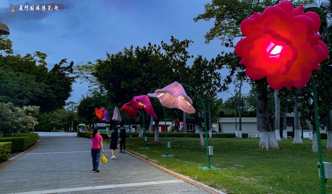 夏天厦门三亚北海到底选哪个好玩,厦门夏天哪个景区最好