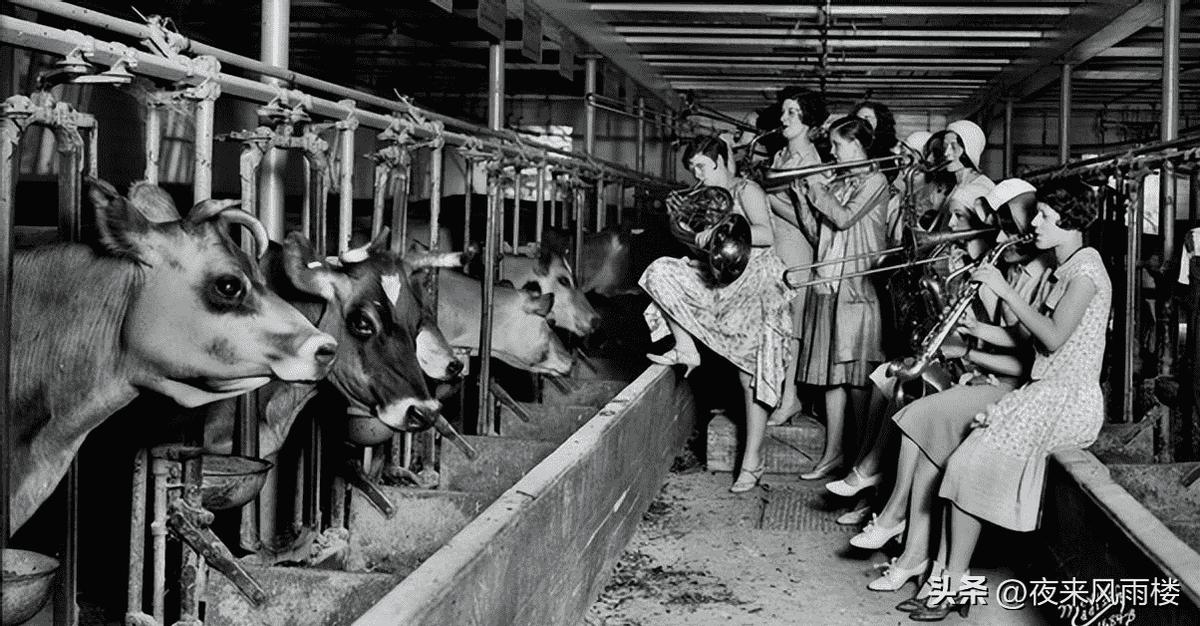 日军罪行照片：攻陷香港后兽性毕露，当场轮番侵犯新婚女明星