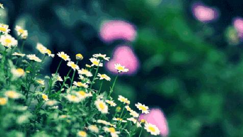 律师办理劳动争议案件业务指引,律师办理合规法律业务操作指引