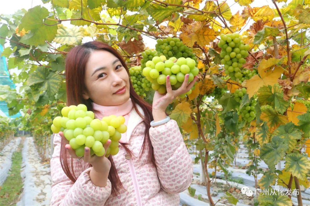 两人从化两天一夜游玩攻略,去从化玩的攻略