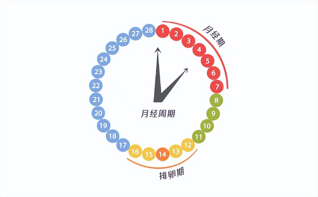 为什么男生天天有拉不完的屎，而女生却很容易便秘呢？