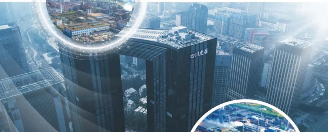 四川发展龙蟒股份,四川发展龙蟒集团股份公司股价