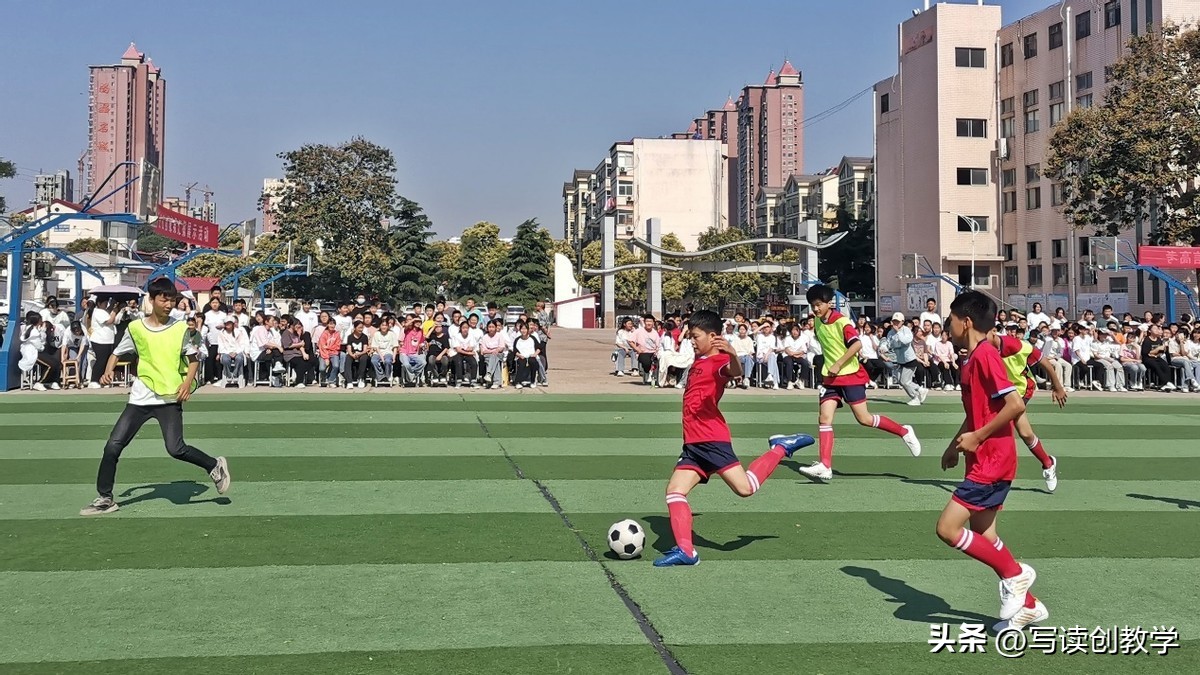 社团风采展主题简短,硕果盈枝香满园