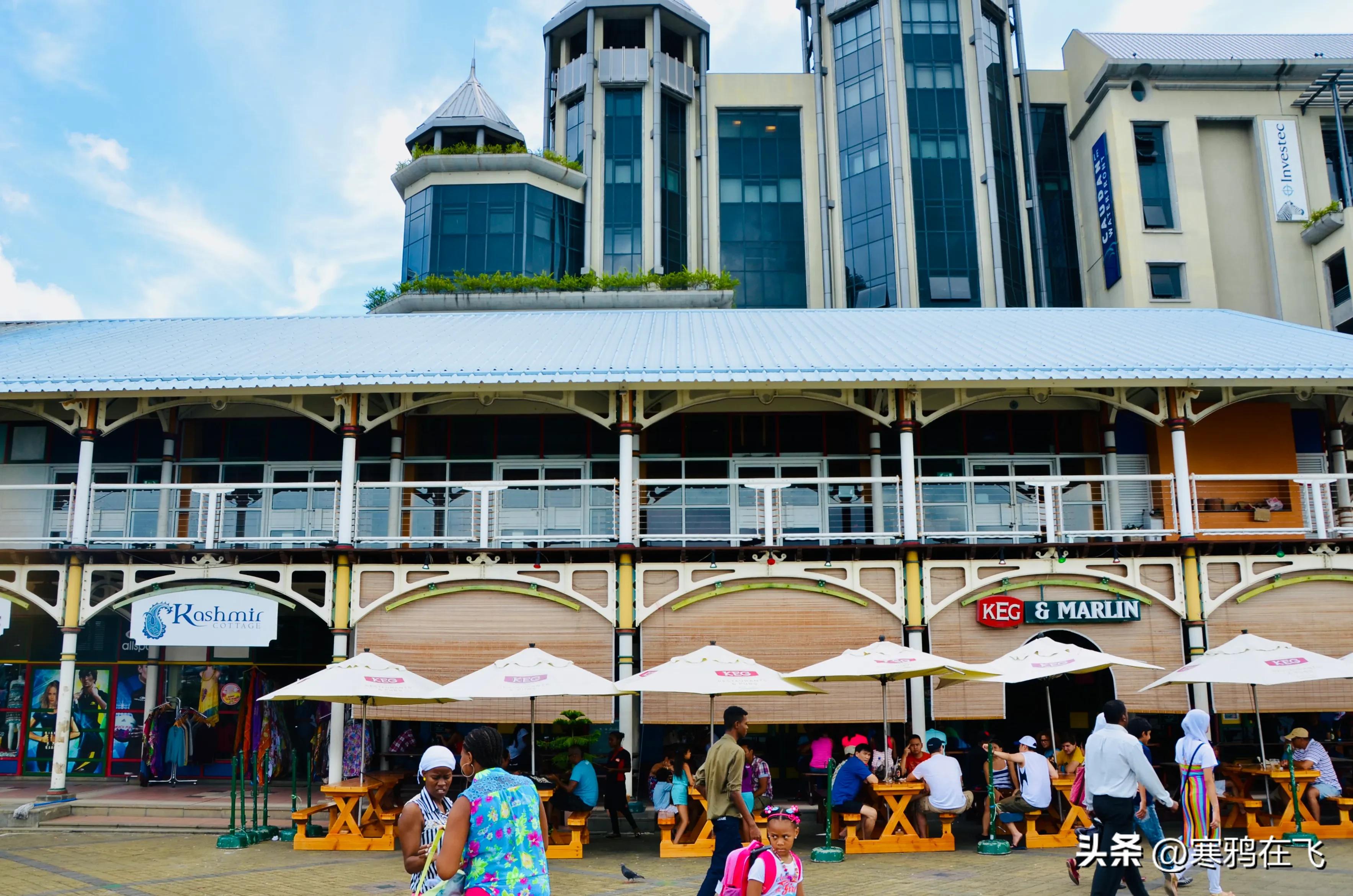 毛里求斯鹦鹉灭绝时间,毛里求斯有许多渡渡鸟吗