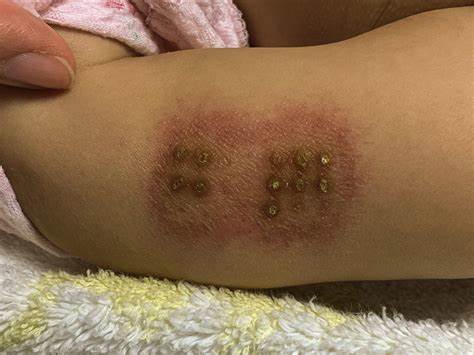 总是安慰常常帮助偶尔治愈原文,常常在安慰偶尔在治愈是什么意思