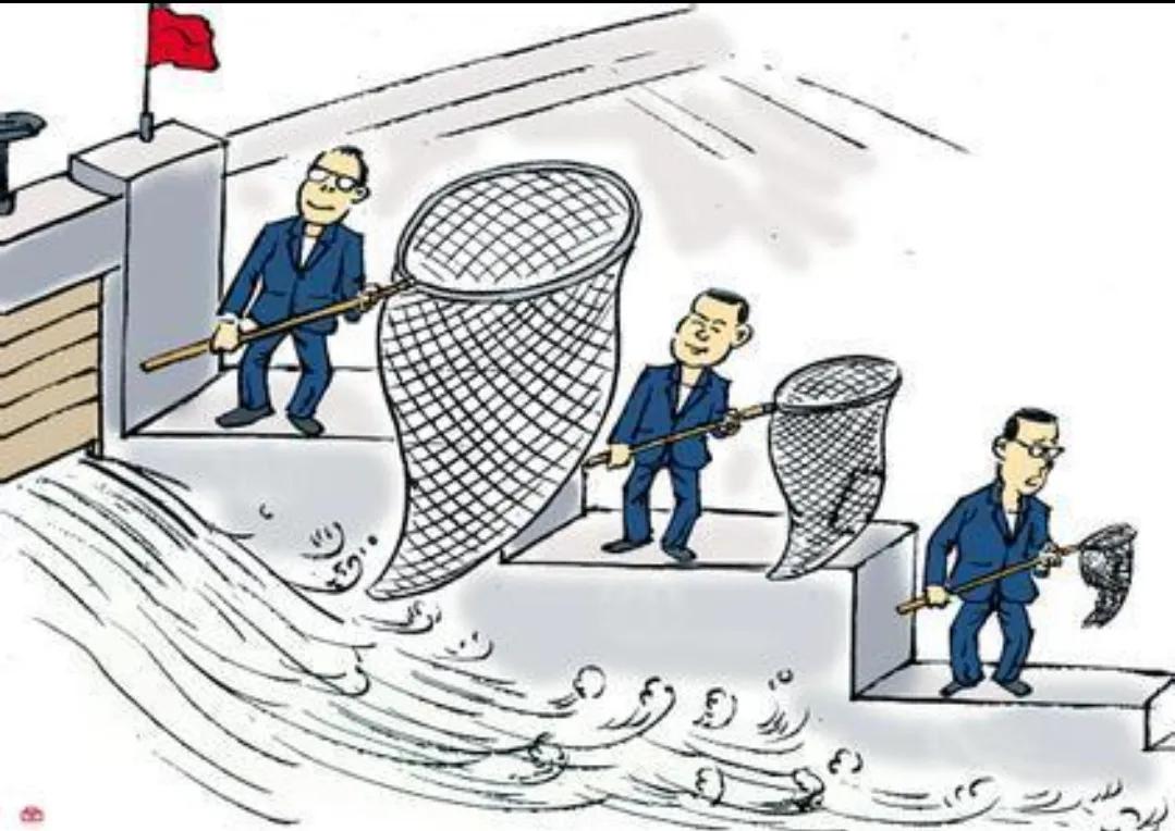 拼多多名牌衣服这么便宜是正品吗,拼多多上品牌和旗舰店哪个好用点