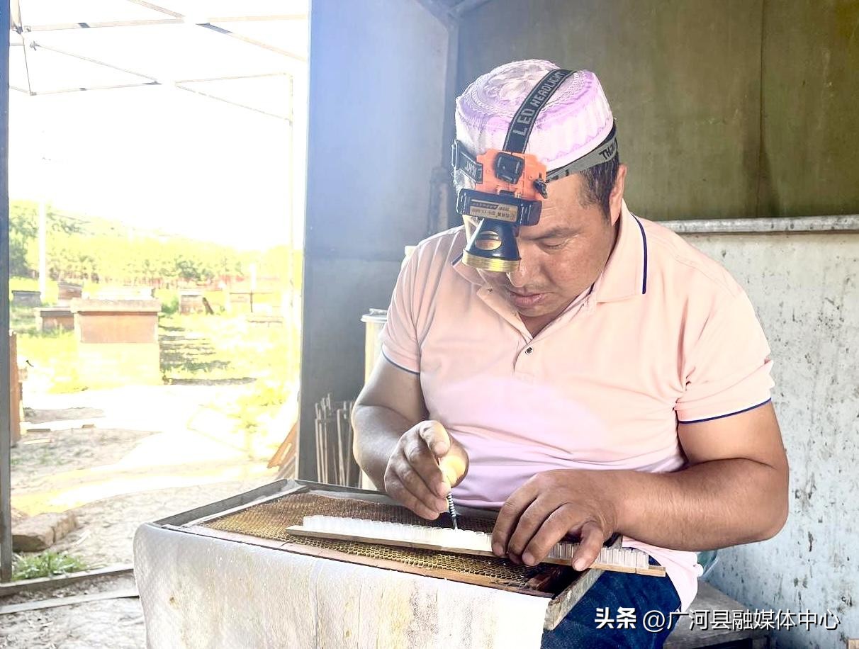 80后养蜂夫妻的日常生活,80后养蜂人的视频