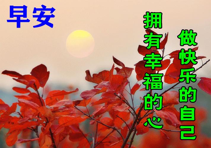 2018微信早安最美的动态表情大全,微信最漂亮早上好表情图片带鲜花
