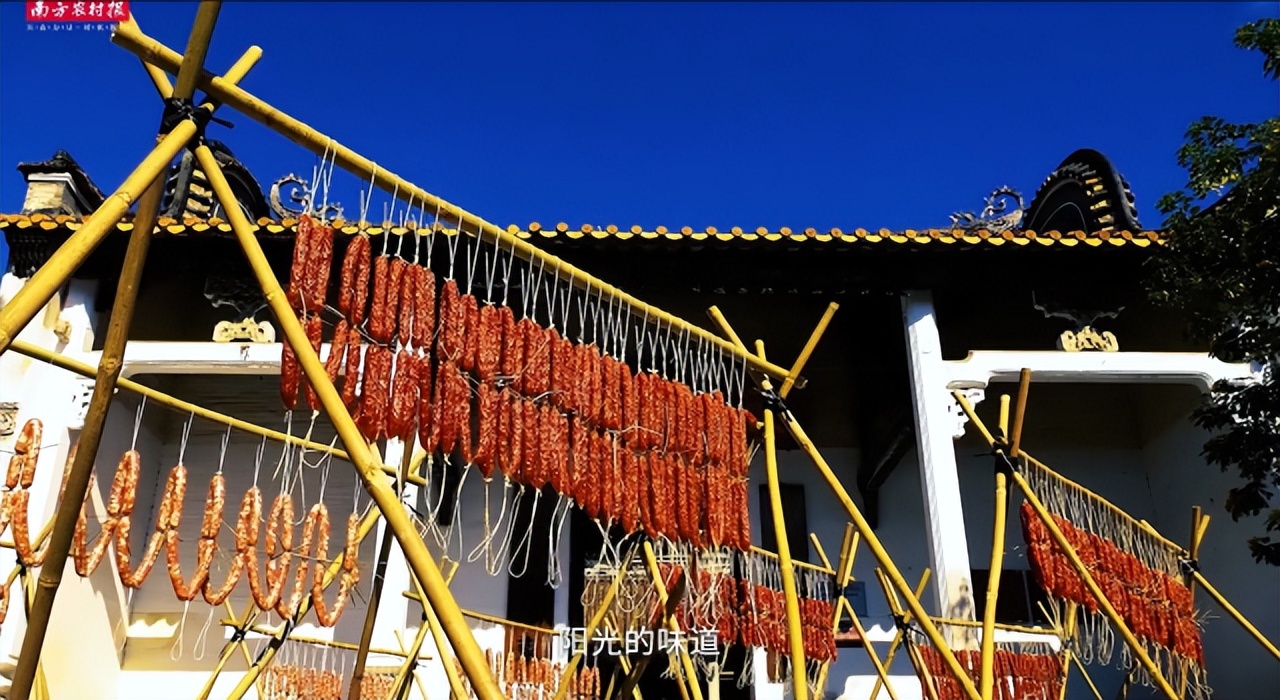视频|飘香百年，匠心传承！黄圃腊味产业园宣传片重磅发布