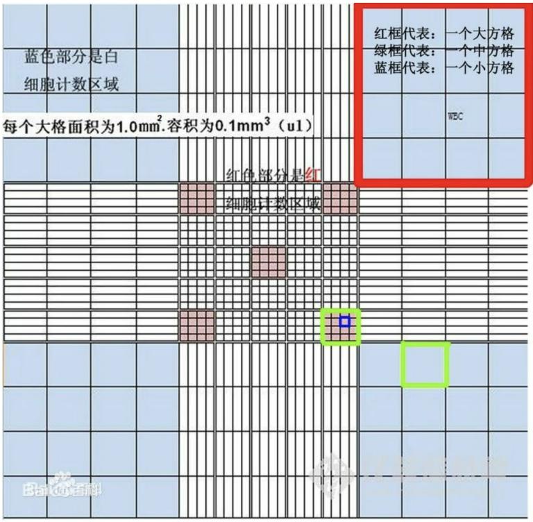 昆明纳瑞丨如何给细胞计数加buff?