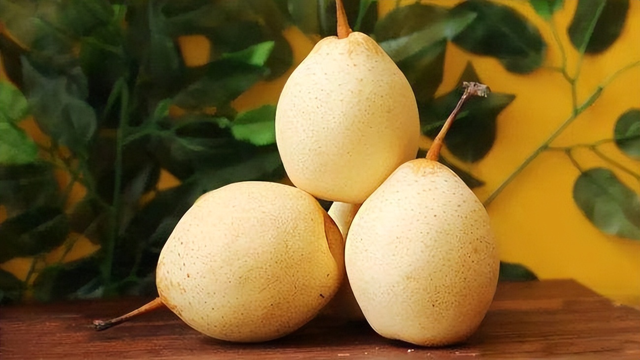 顶级本山绿泥怎样鉴别,现在的本山绿泥是真的吗