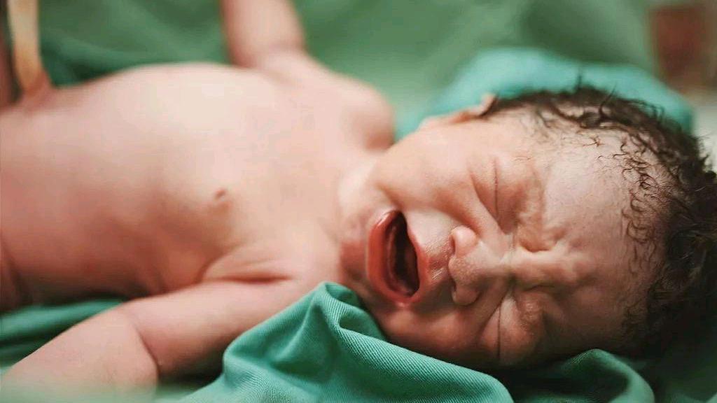 宝宝出生时的体重影响智商,宝宝出生的体重跟智商有关系吗