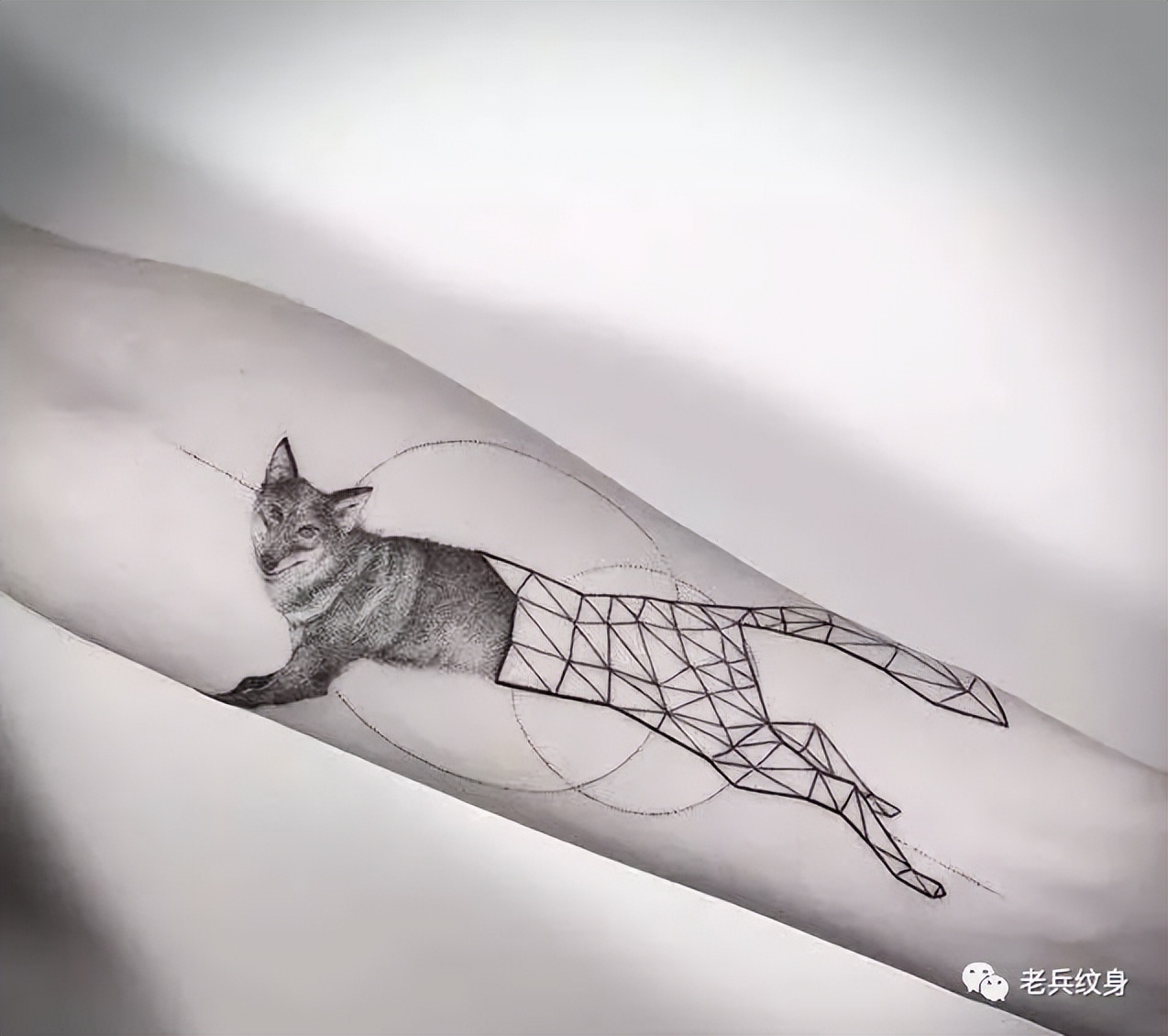 最潮纹身图案大全,十大纹身图案你认识几个