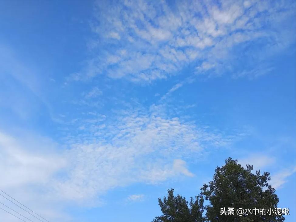 感慨老家风景的句子,家乡农村夏季的唯美句子