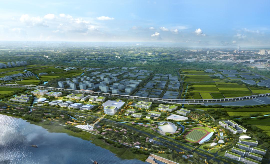 投资460亿元大学更名，新校名寓意深远，为何却遭受反对？