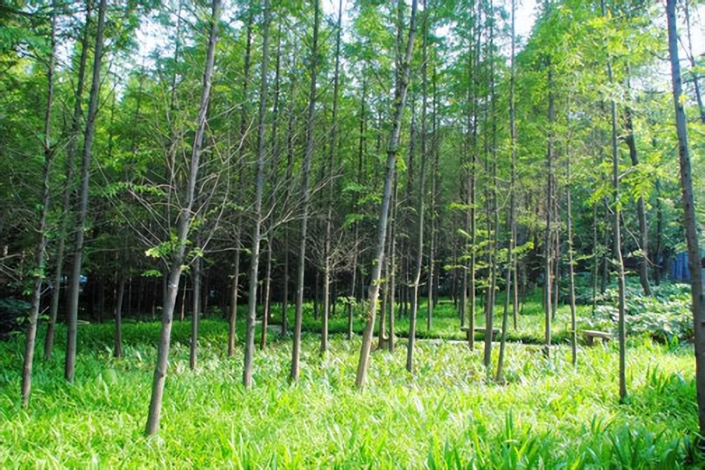 重德博学尚美笃行,重德博学勤勉尚美