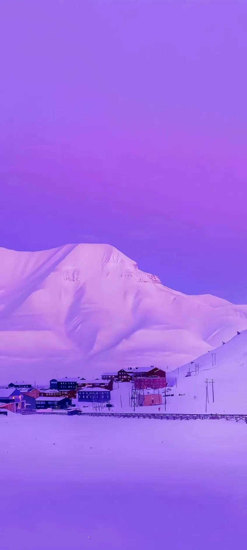 紫色异域风情古风,情调紫色