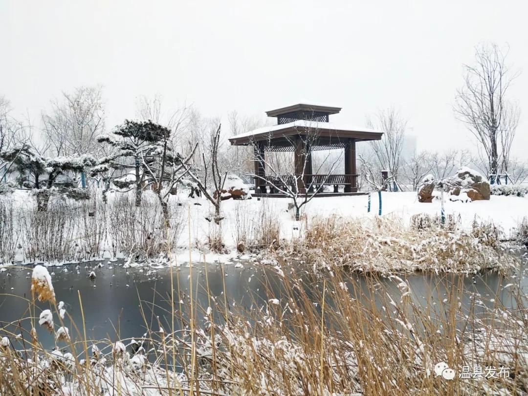 来这里邂逅一场落日余晖的浪漫,来这里邂逅柳州春天里的浪漫