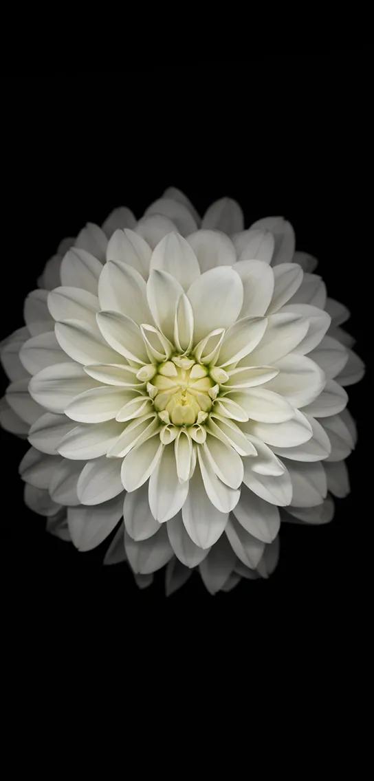 黑暗系壁纸黑底文字,黑暗色系的壁纸