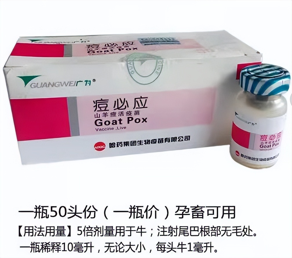 冬天养羊生羊仔怎么保温,养羊冬天用什么草最好