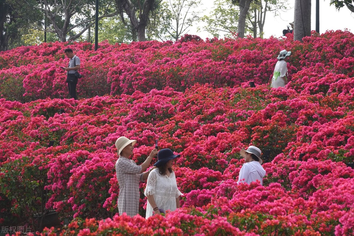 南宁必去十大景点排名,南宁旅游必去十大景点排名最新