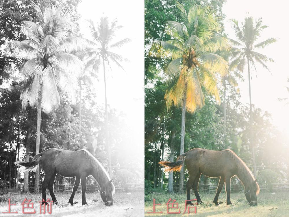 有哪些黑白照片上色教程,怎么能给黑白照片上色