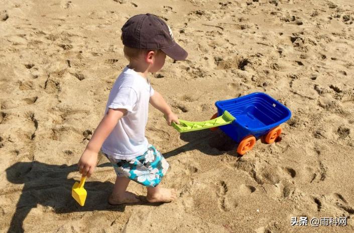 玩具小程序开发,玩具商城小程序