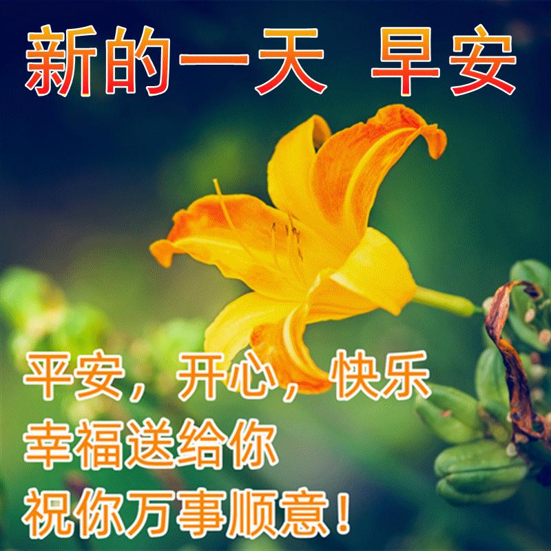 早上好图片带字早安祝福语,早上好图片带字早安正能量