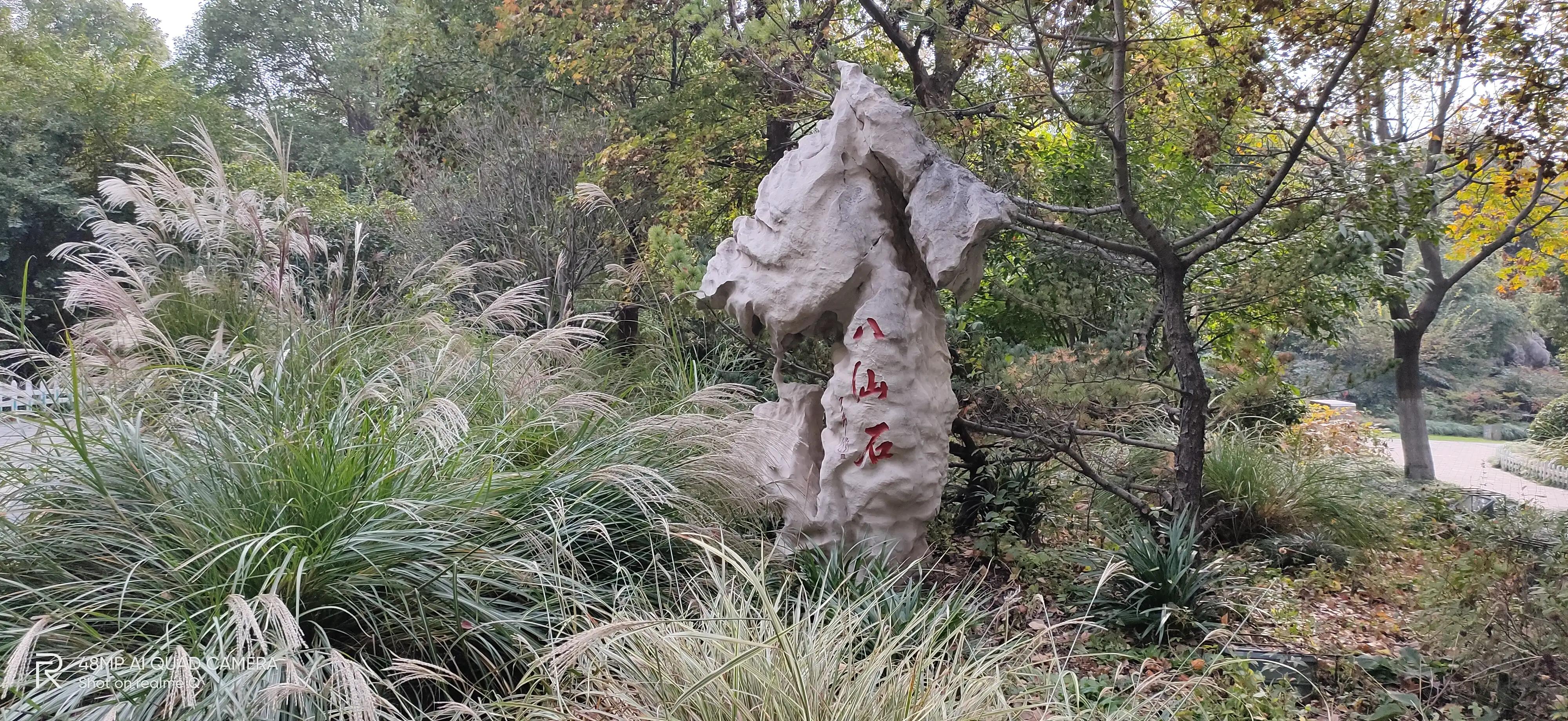 徐州彭祖园森林探险,徐州彭祖园名人石像