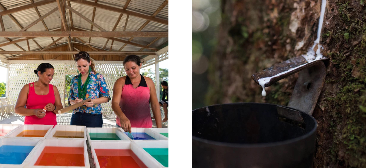 海军蓝配绿色皮革,贝壳头绿色皮革