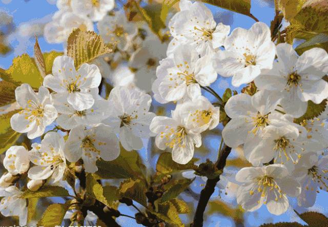 清远阳山二天一夜旅游景点攻略,广州自驾阳山旅游攻略图