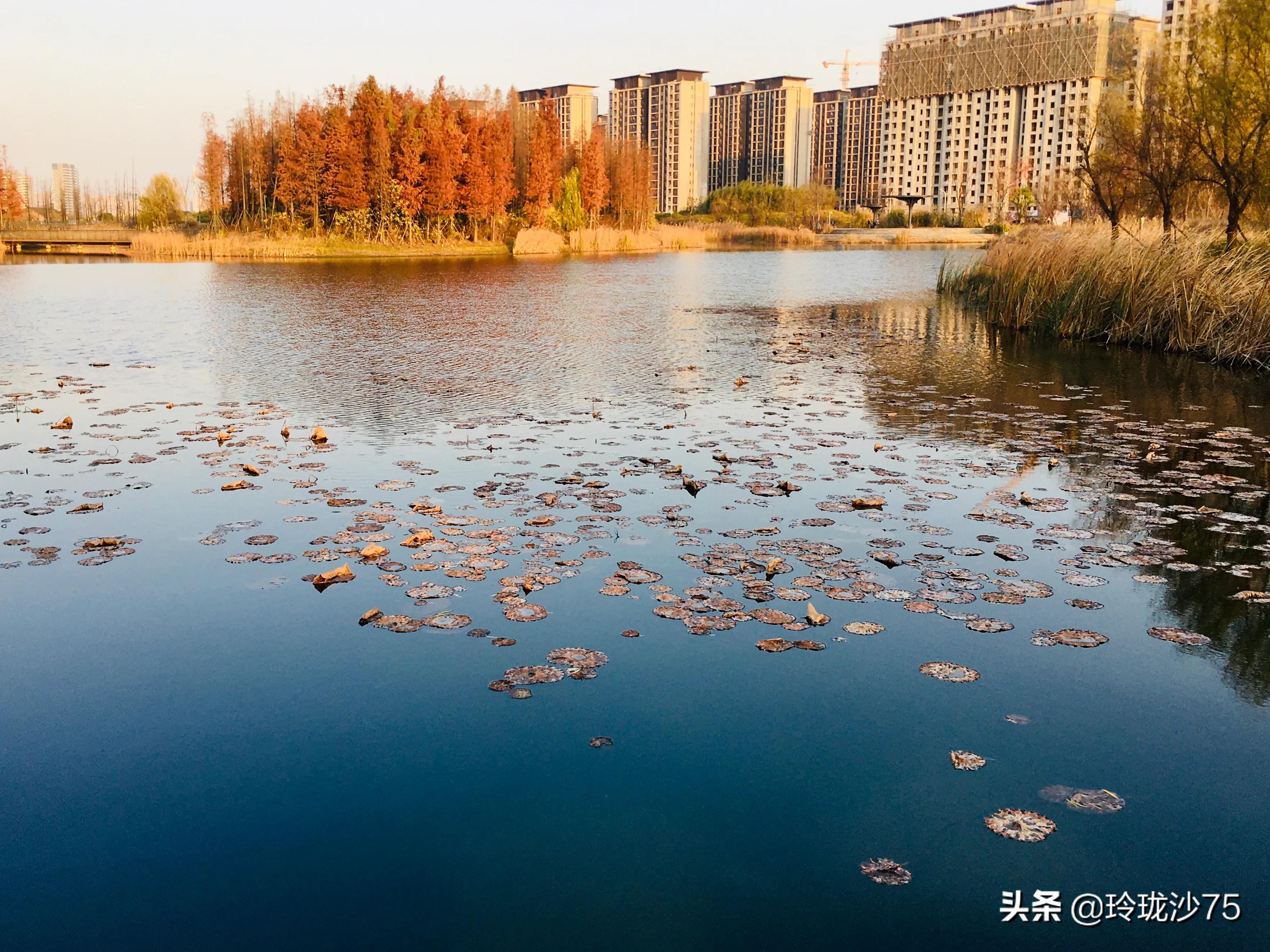 长沙风景美丽的篮球场,长沙王陵公园生态足球场