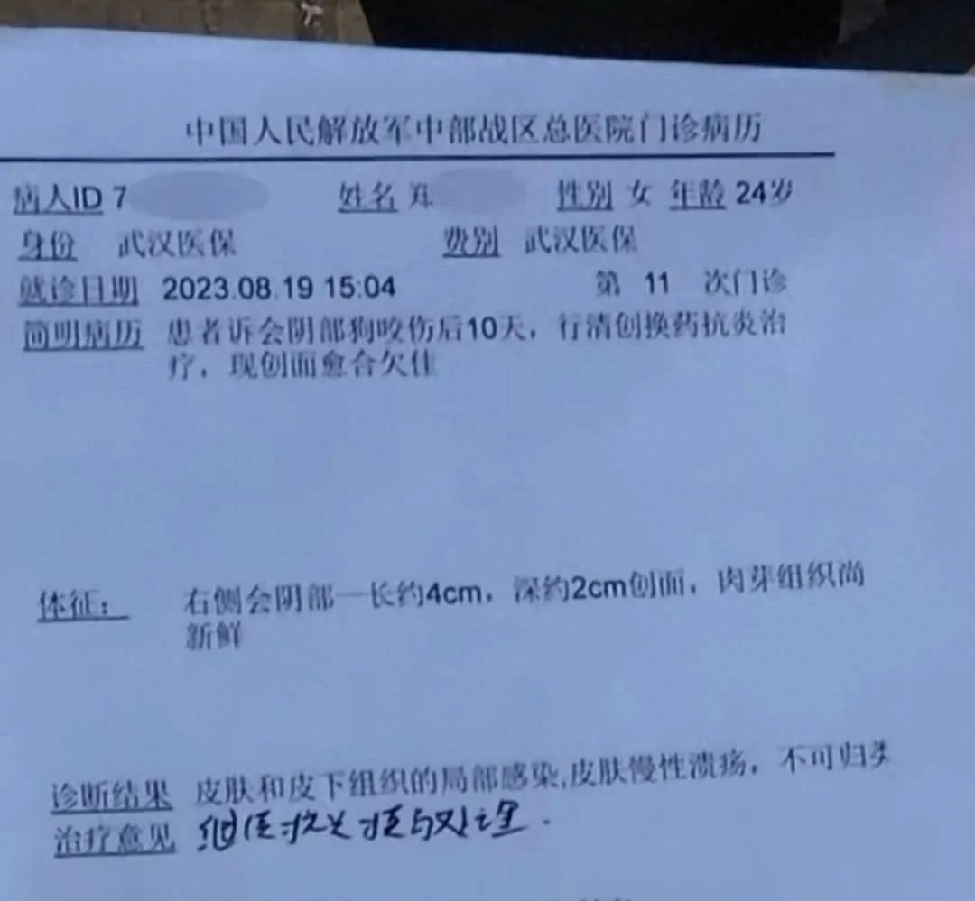 女子夜跑被恶犬咬伤后续,25岁未婚女子夜跑被恶犬咬伤后续