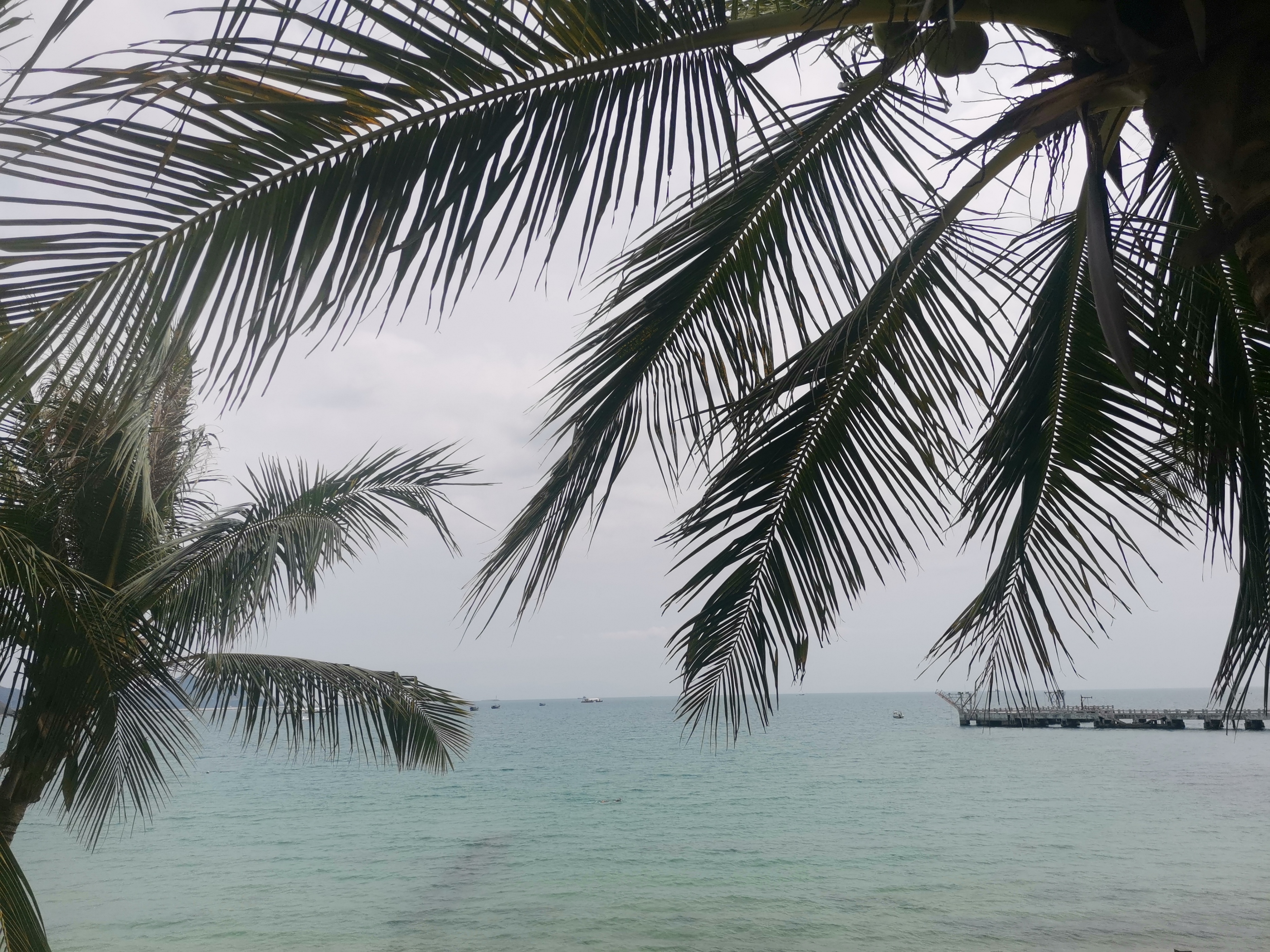 海南旅游攻略三亚五天四晚,海南三亚大东海