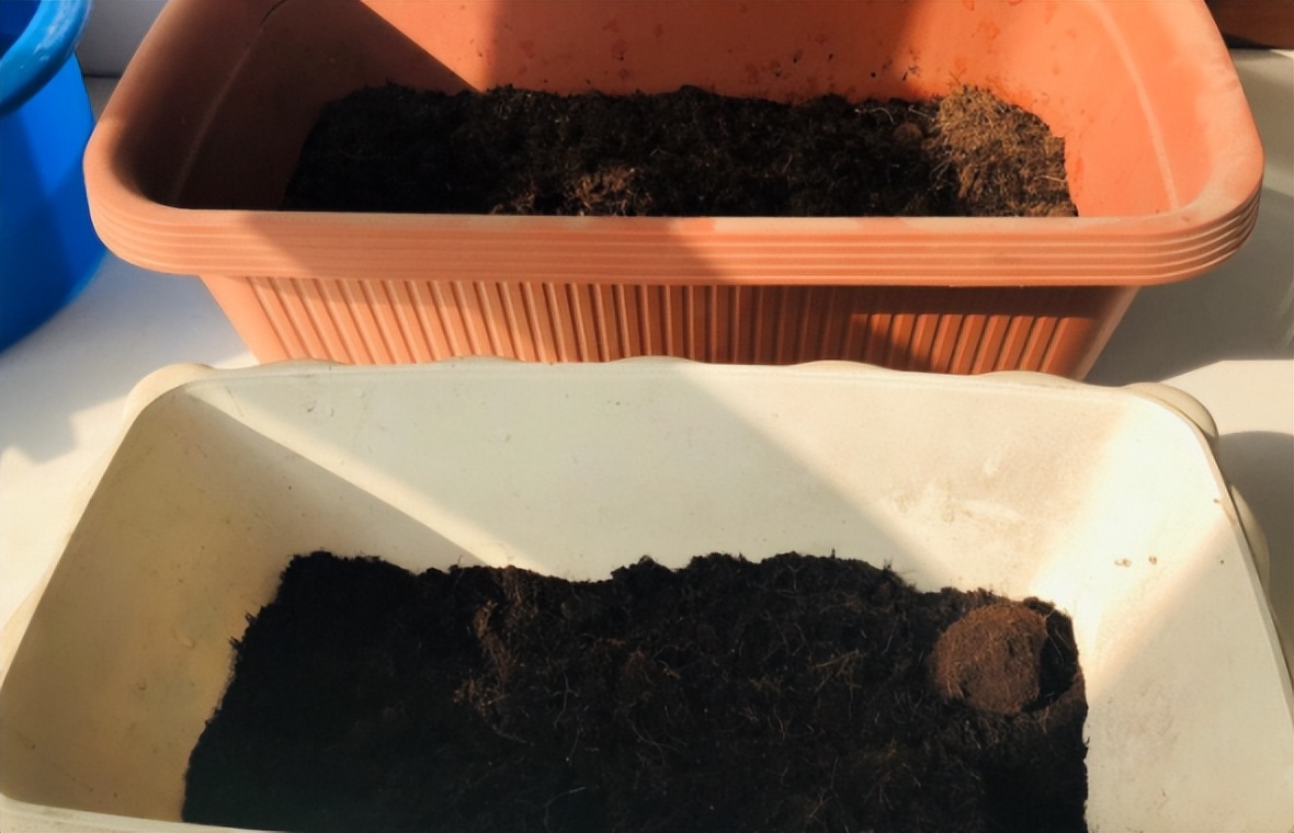 给花草换盆打理花草,给花卉换盆的四点注意事项是什么