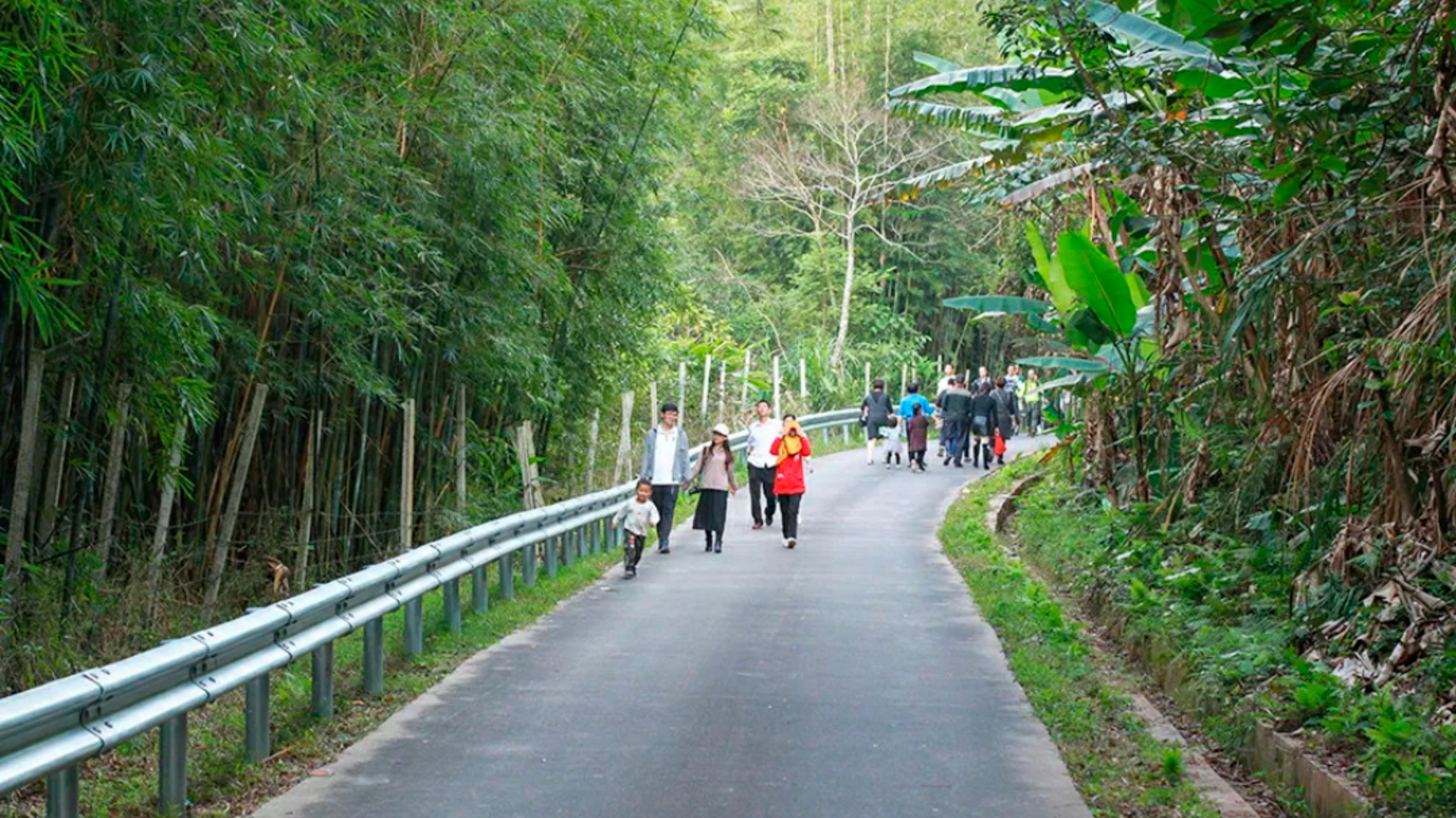 惠州赏梅花地方,惠州惠东梁化镇梅园