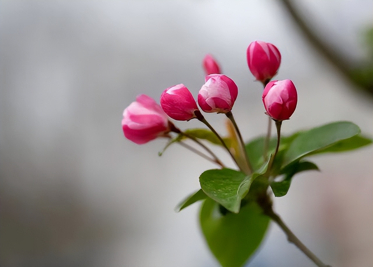 暧昧后说做朋友的都是烂人,和暧昧过的人不可以再联系