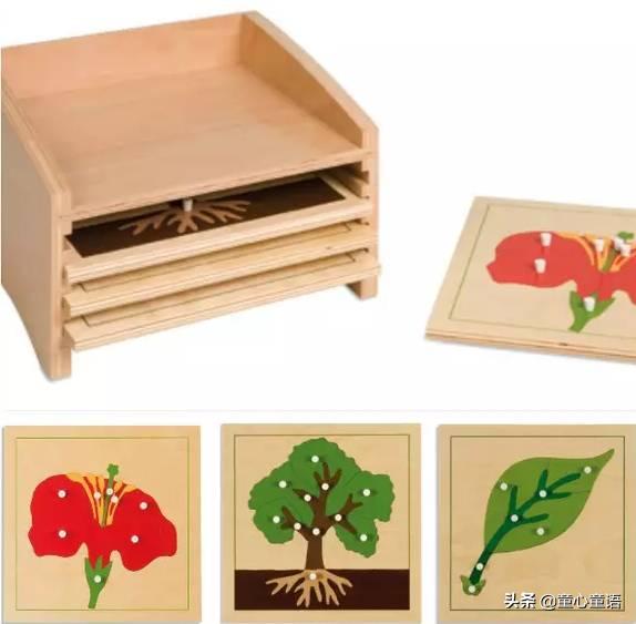 蒙氏圆教具,蒙氏园夏季主题教学