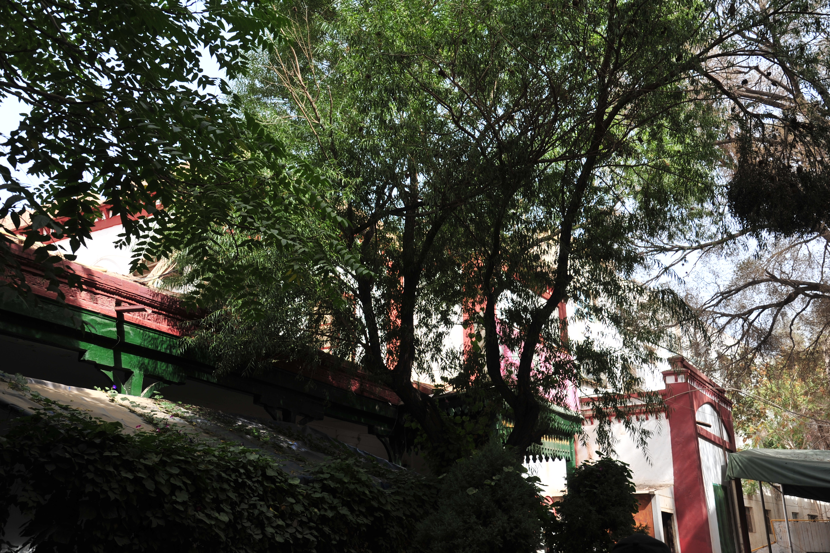 西域往事1-40集,西域往事纪录片在哪里看