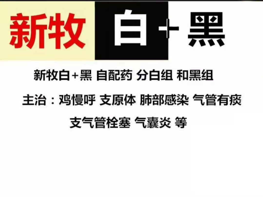 鸡堵气管治疗,鸡支气管堵塞是什么原因引起的