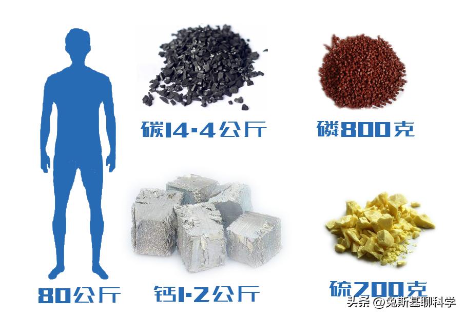 地球有94种化学元素，人类身体用了60多种，造一个人要花多少钱？