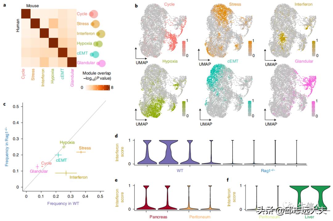 泛癌分析是怎么找到特定的基因的,癌细胞分析最新研究