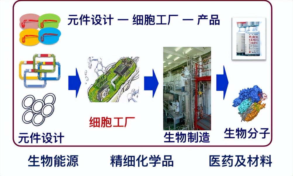 生化环材新闻,生化环材四大天坑真的不好就业吗