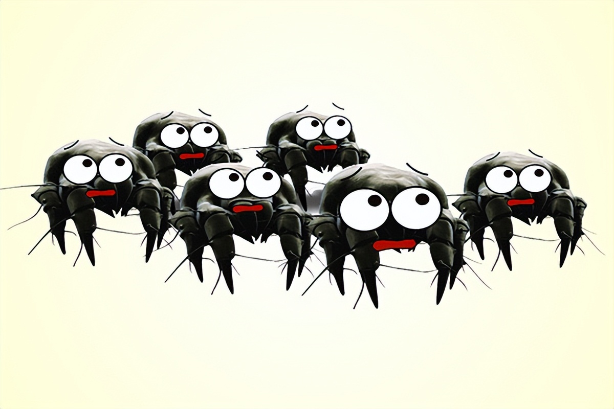 cpco中虫协靠谱吗,cpco中虫协资质国家认可吗