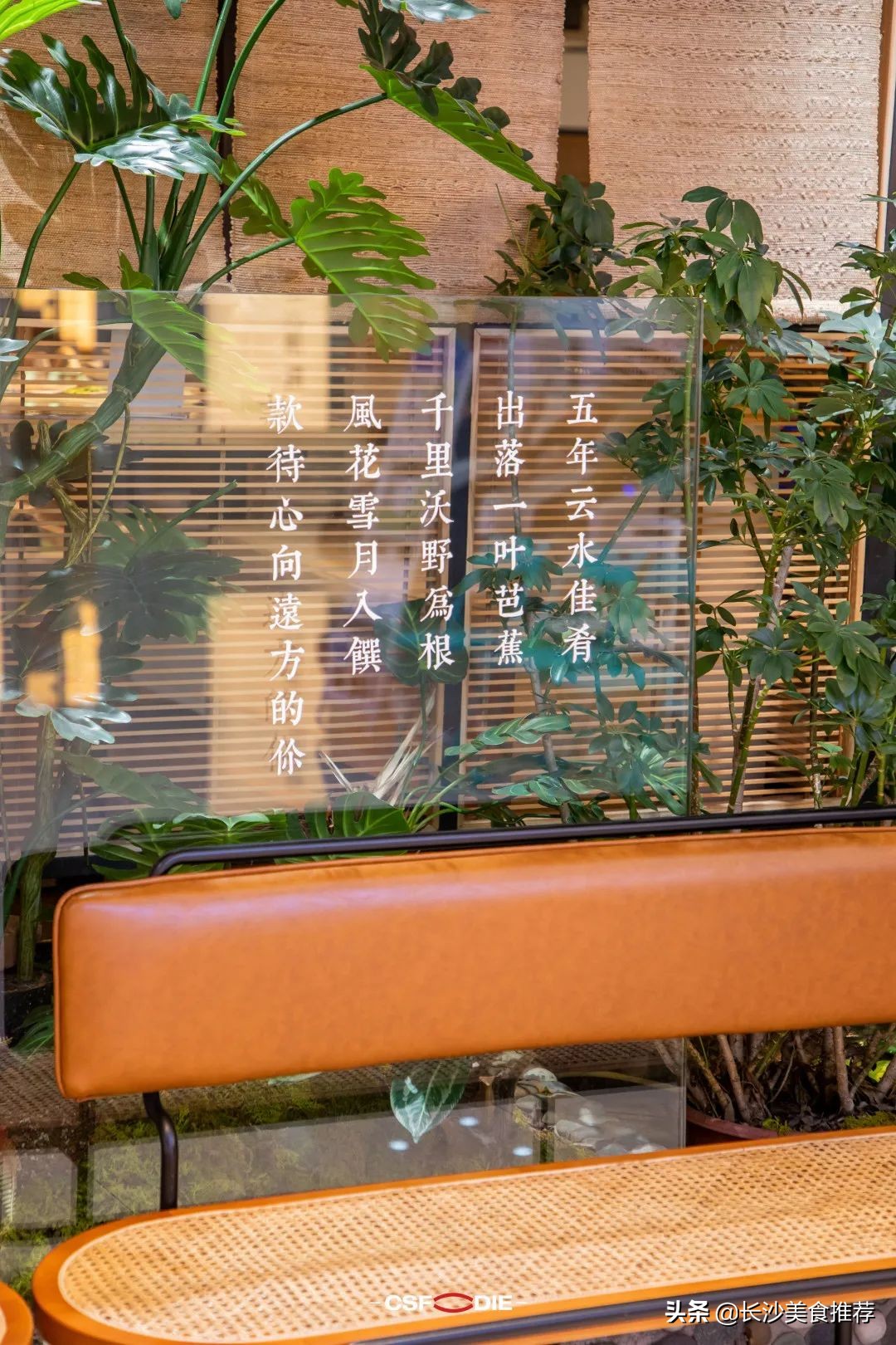 空运整座“小云南”，叶芭蕉春夏限定上新啦