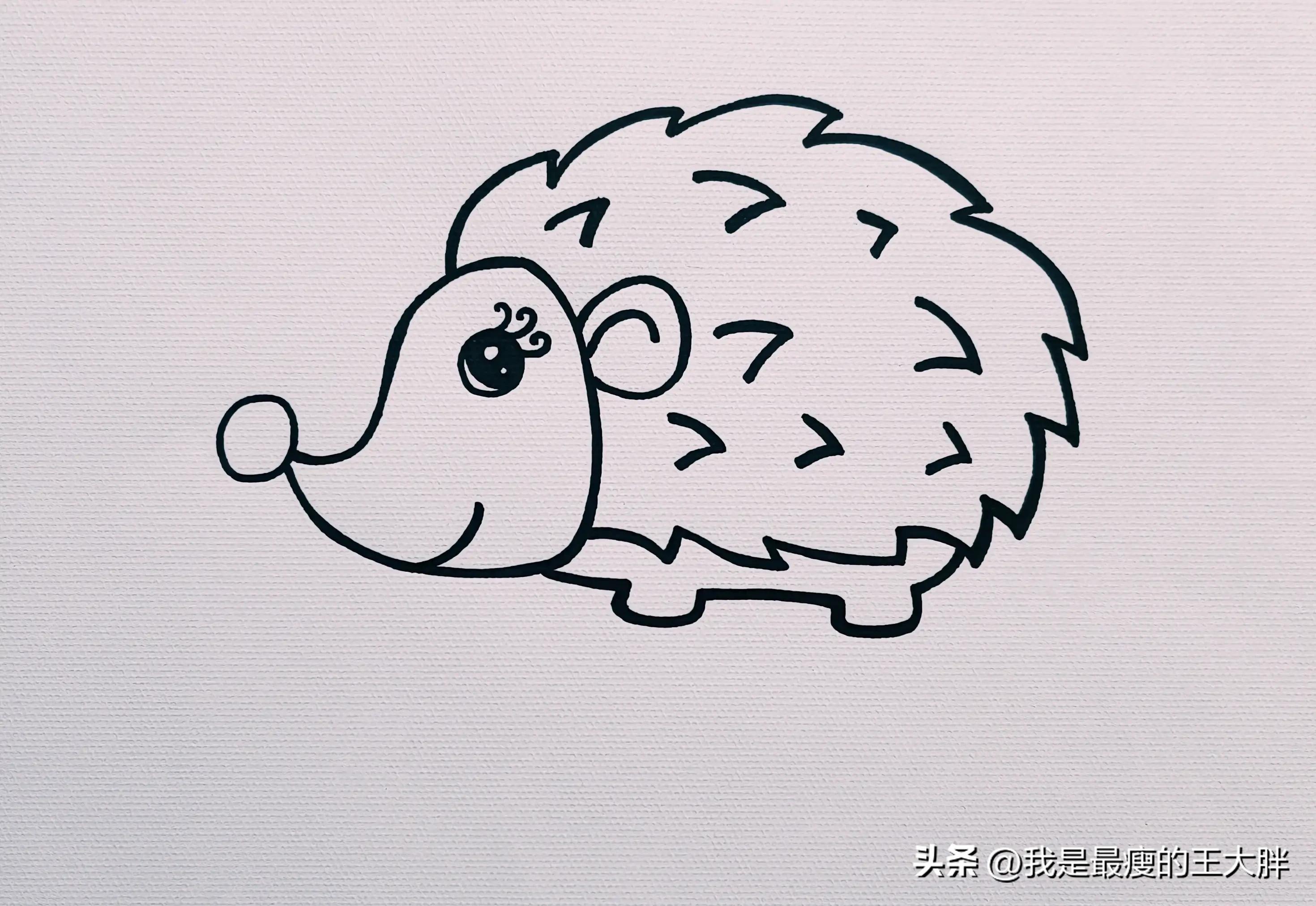 儿童画小刺猬的画法,小刺猬儿童画简笔画