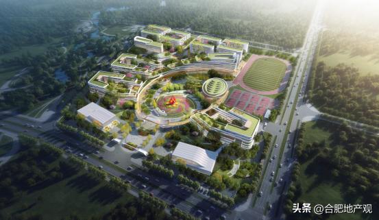 合肥各个区域学区学校排名,合肥五中东校区学区划分