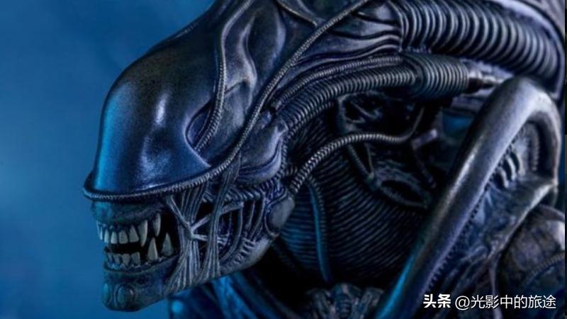 异形怪兽电影十大巅峰之作,异形什么时候出新电影
